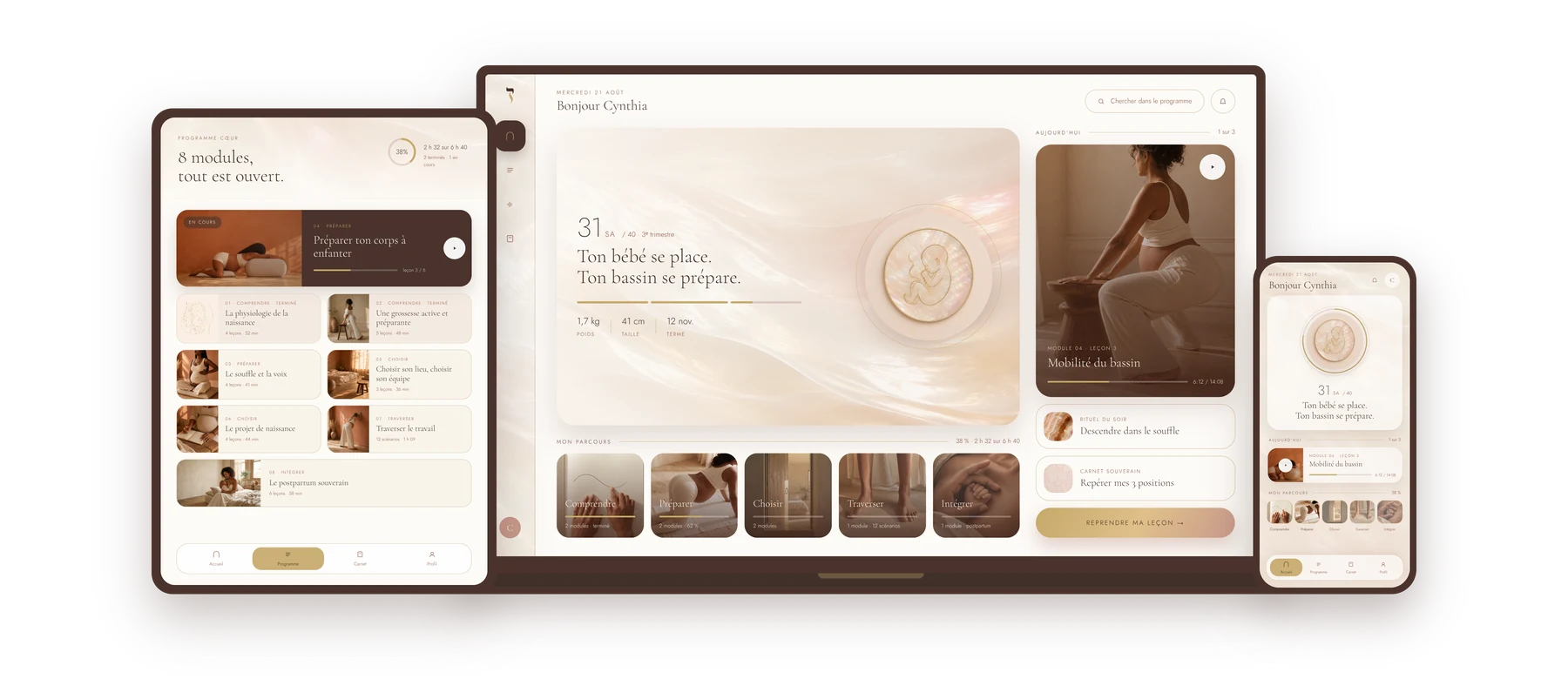 La plateforme Naissance Souveraine sur ordinateur, tablette et mobile